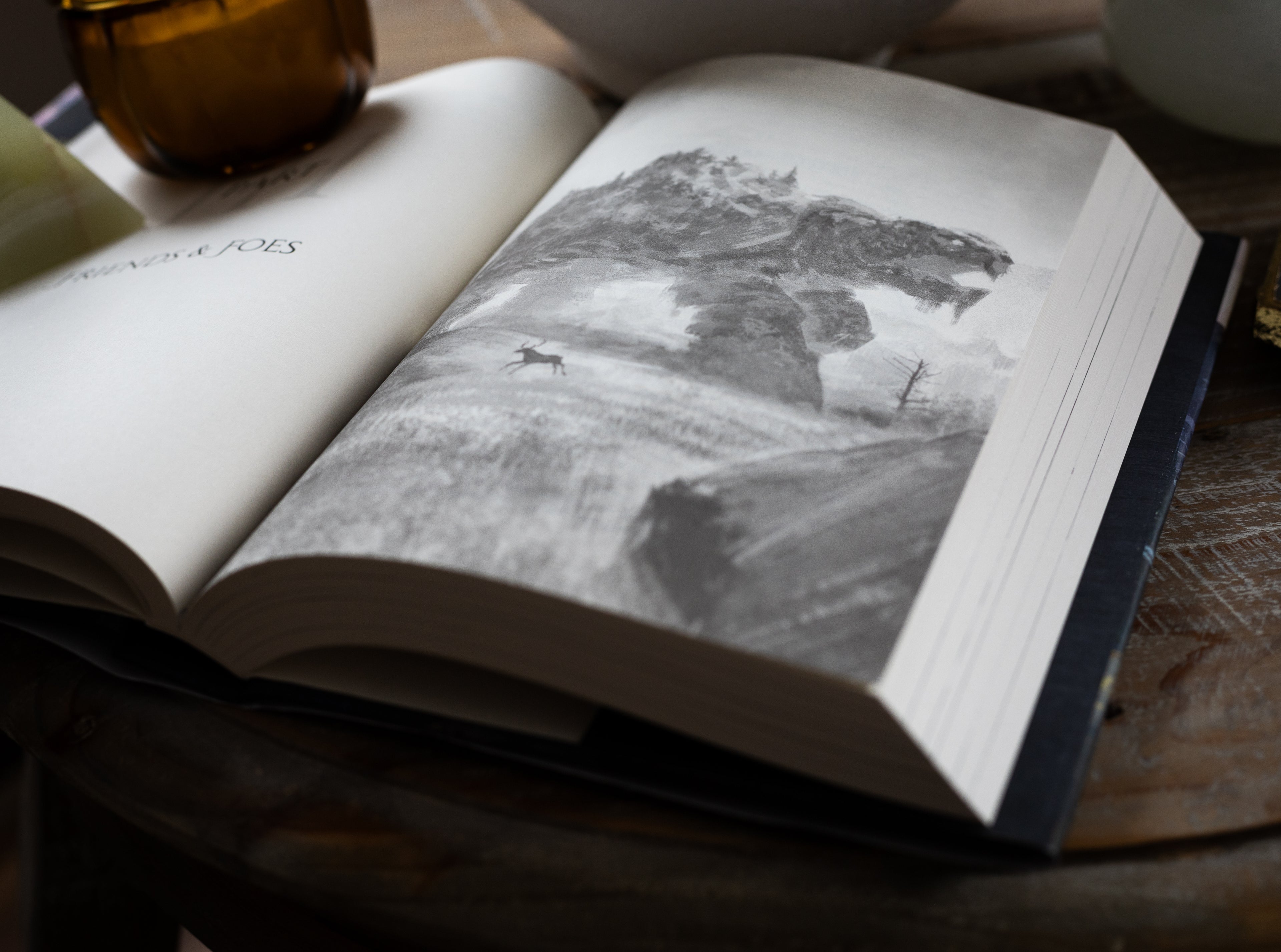 The Last Ranger: Ranger of the Titan Wilds, Book One