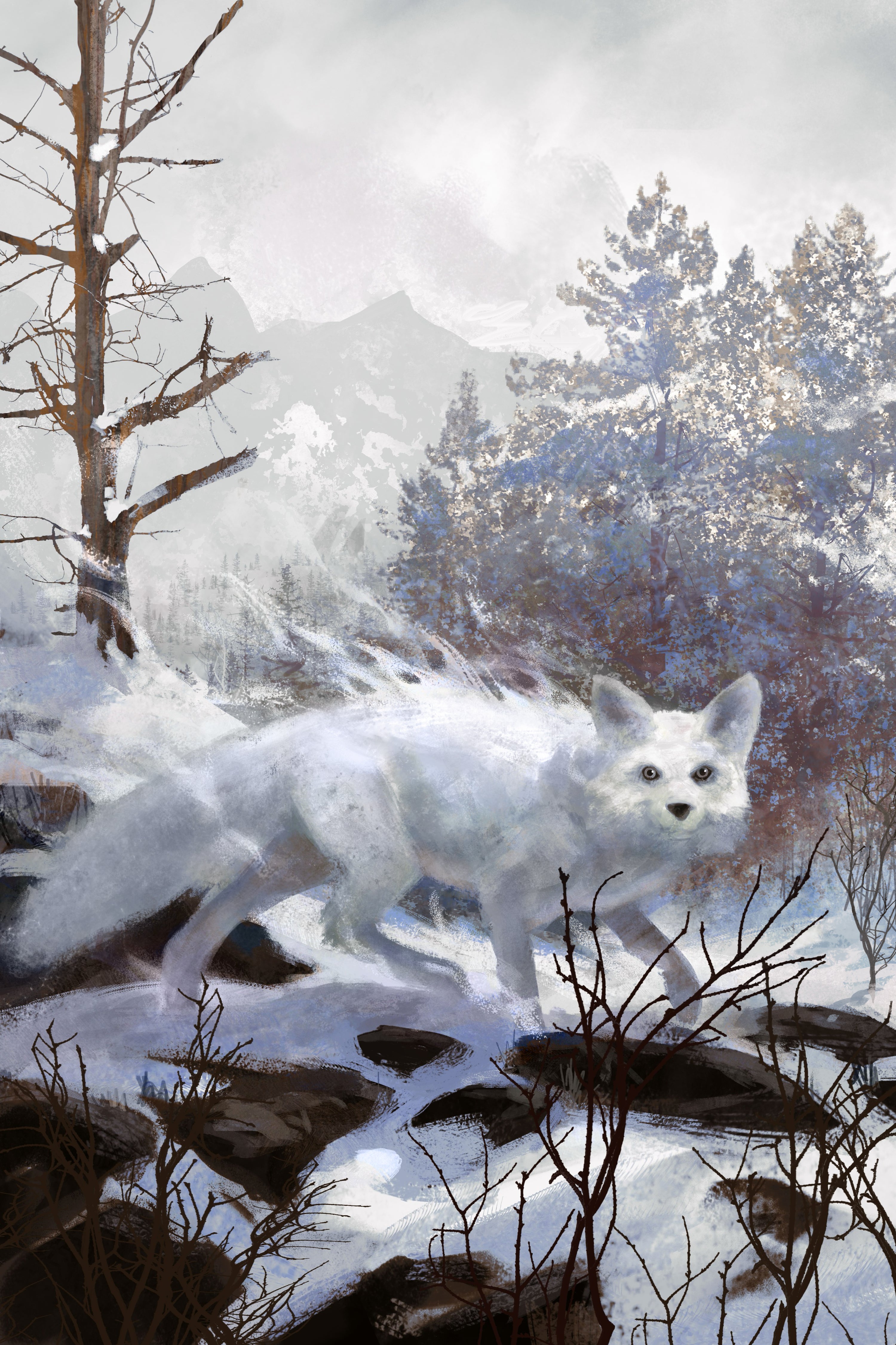 The Last Ranger: Ranger of the Titan Wilds, Book One